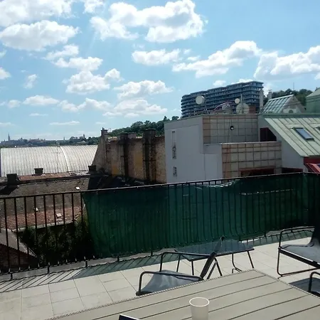 Rooftop Near Danube And Margareth Island *